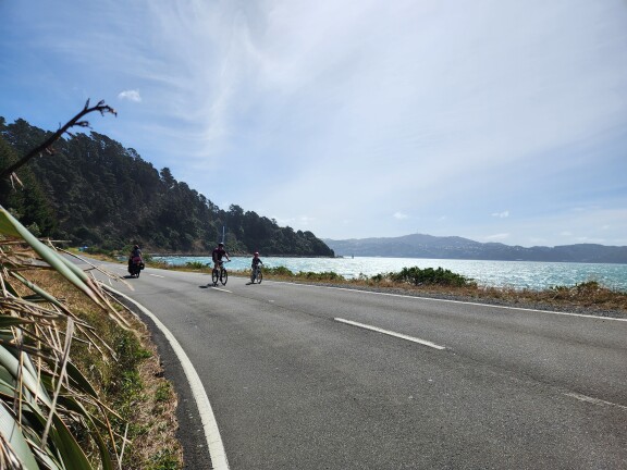 Three cyclists in the distance travel along a coastal road on a sunny day