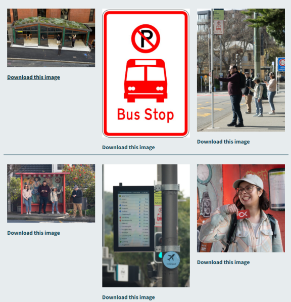 Screenshot of images from the Social Story web page